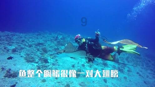 解惑小蜗牛,win7诊断策略服务未运行问答在线平台